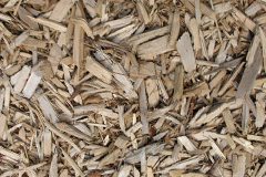 biomass boilers Ardtoe